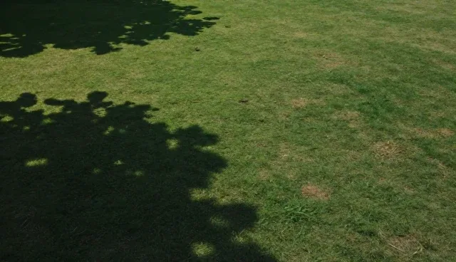 质量检验在批量生产中的性能优化策略